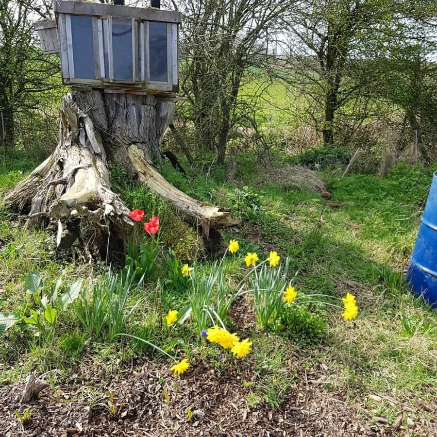 Romantic Escape Luxury Hobbit House With Hot Tub! Sheerness Dış mekan fotoğraf